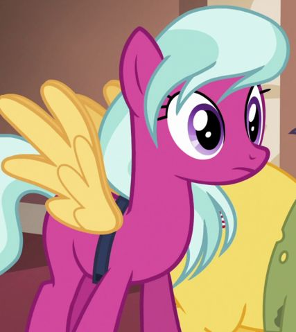 madeofcandyy's tweet photo. What if we had ponies who wanted to be another type (pegasi/unicorns/earth ponies) and did stuff like this?? Its a cool idea for an OC omg https://t.co/1125XJxeax