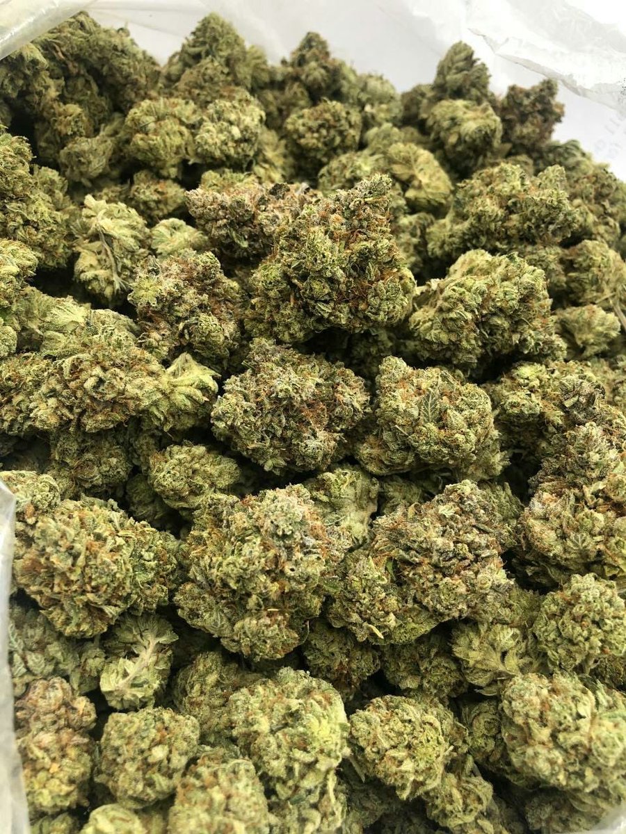 PersiEmmanuel's tweet photo. Wsh la team livraison dispo 🇫🇷🇧🇪🔥🚚☘️
Telegram : https://t.co/8fnqJQLESV

#Rechercheweed #Livraisonweed #weed
#France #X3mmc #Recherche3mmc
#Recherchecoke #poupettekenza #Canicule #Météo #Sécheresse #Incendies #Actualités https://t.co/STN1JHarw7