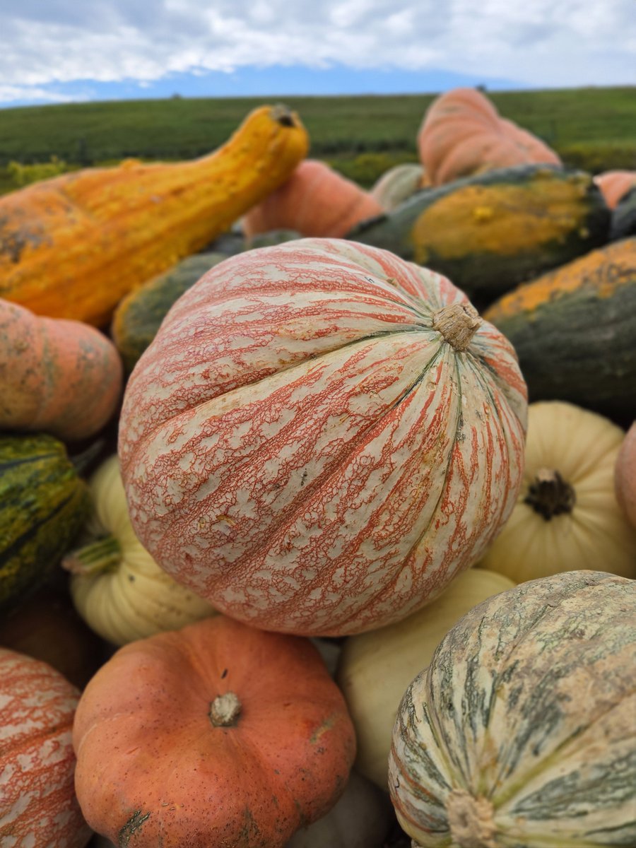 MGmagnta's tweet photo. J'adore...
#FallFest https://t.co/SsYGx1RVlw