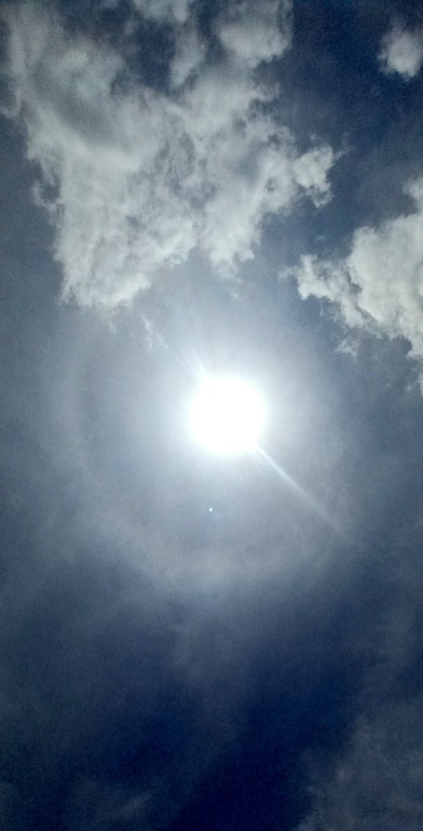 brossamadoz's tweet photo. HALOS SOLARES

Por el sendero se han observado diversos halos de 22° de distintos tamaños y densidades que aparecen y desaparecen en un abrir y cerrar de ojos, originados por un desarrollo nuboso sin precipitaciones. Un calor sofocante se mantiene. Puerto La Cruz, 19 Sep de 2026. https://t.co/XFfmGH8Ixq