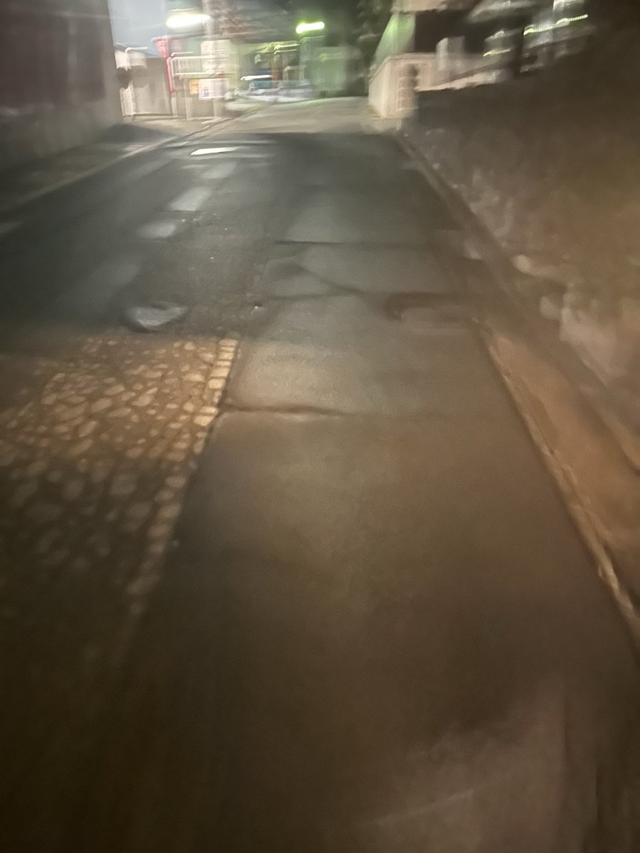 tyakisumoyan's tweet photo. 今日も今日とて賑やかな街でした
バイト後スナック行って他のお客さんと話してたらご馳走してもらえた上に店終わりスナックママにステーキご馳走して貰えて気分いい

フラシキャン待ち通るかしら、そして起きれるかしら https://t.co/wUQ8gulTxI
