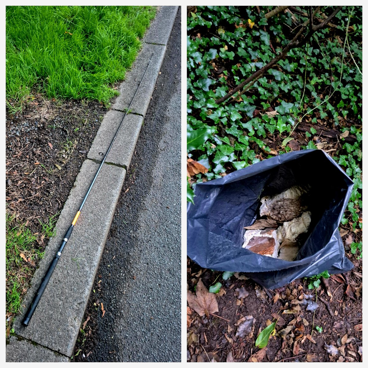 Kittylitterpic1's tweet photo. A quick evening walk in my local woods for a bit of fungi finding. Found some lovely orange pore fungus (favolaschia calocera) 🧡 and a few others. Also found a lot of mess which I went back to clean up. 30 mins, 1 bag. #litterlouts #fungi #dontbeatosser #autumn #binit https://t.co/q70o6NV2iL