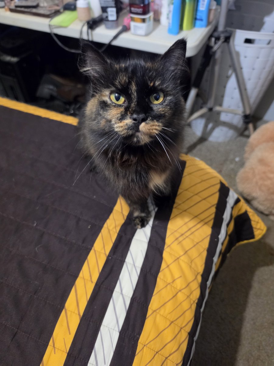 SeesDale's tweet photo. Cloey says hello yall https://t.co/xwH7IARlxC