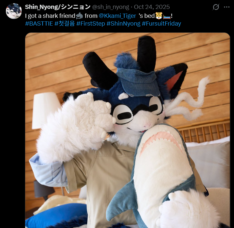 BASTTIEBASE's tweet photo. BASTTIE fact of the day:

KKAMI owns a Blåhaj. https://t.co/FHxiMoCPnx