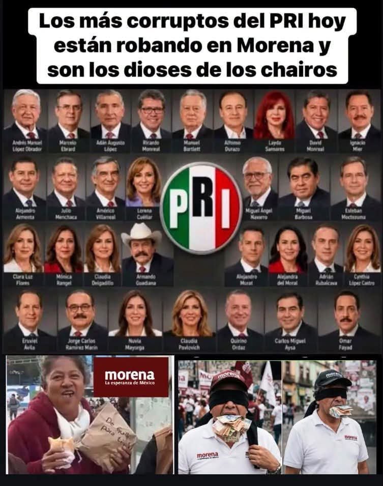 HSMarioReseOlmo's tweet photo. @j_perez76155 @mario_dico50 El pendejo que no sabe contar cuántos priístas hay en Morena https://t.co/s81soLXapg