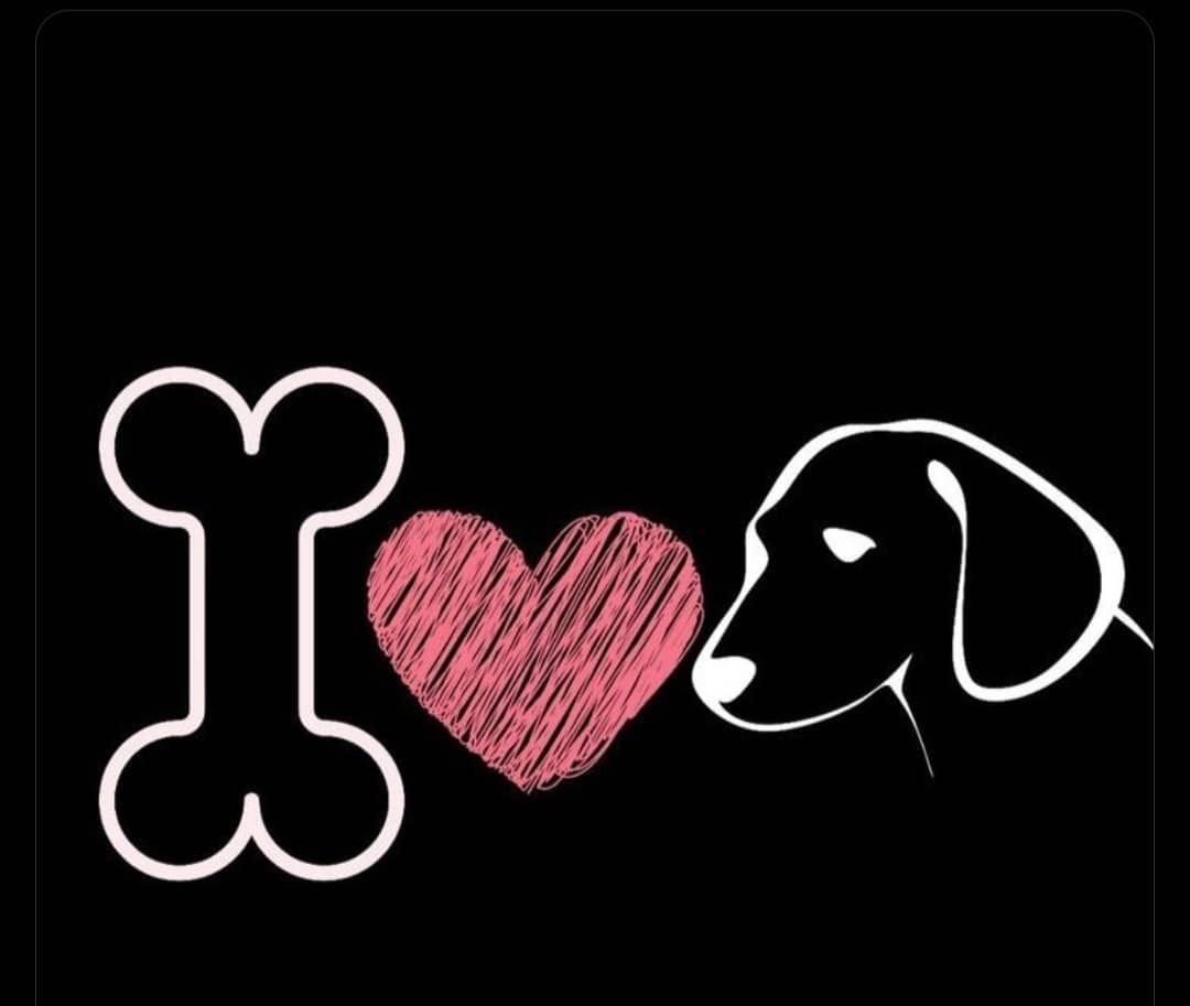 Rosercl4's tweet photo. Let's Connect and interact with your paws to unlock the most unlimited knott of your whole entire life ❤️💦

Hit me up for exclusive Dropbox 

https://t.co/piu3n95Qvf

#Knottyadventures #Florida #knotty #knottygirl #dogslut #knotslut #zoophilia #zoosarevalid #zoopride #zoogirl https://t.co/GqxQirY3WD