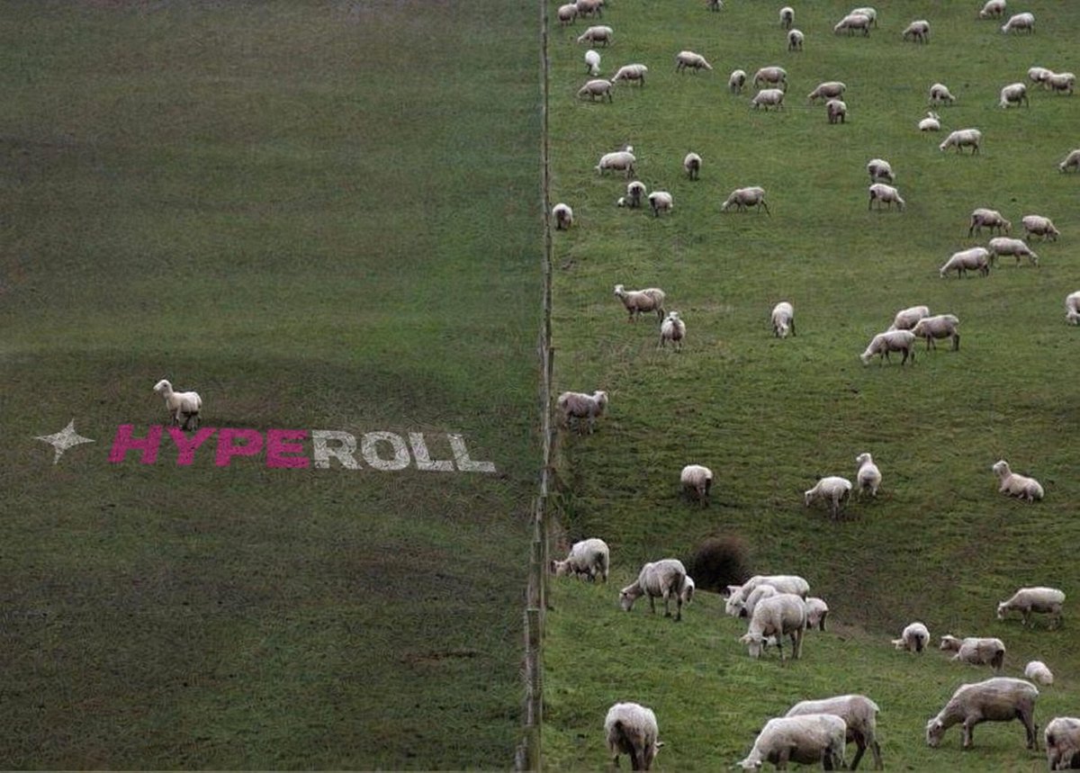hyperoll's tweet photo. That's how it feels being the first millionaire in your bloodline. Go touch grass, relax a bit. 

Then, it's time to get rich.

DROP A GM 🍀 https://t.co/bFP8NoHXTx
