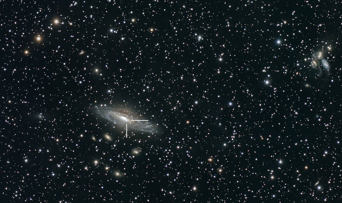 Weigruf's tweet photo. I spent 2 nights, capturing the light of the Type Ia supernova SN 2026aaiv) in the galaxy NGC 7331 (45.4 million light years away) in the constellation Pegasus (Πήγασος)

I used my Takahashi FSQ-106ED at f/5 with a Nikon D180A on the EM-400 Temma 2M guided for approx. 2.7 hours https://t.co/ft1otAlW2Z