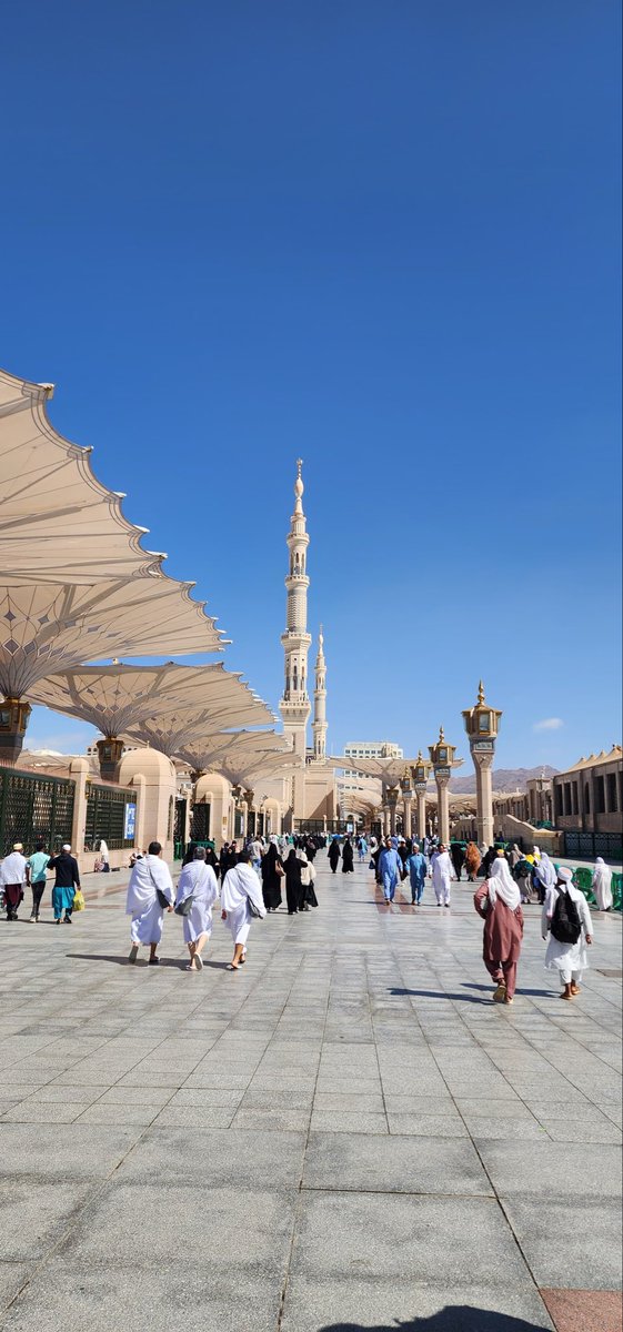 Tyy_Am7's tweet photo. 🌸 اَللّٰھُمَّ صَلِِّ عَلٰی مُحَمَّدٍوَّعَلٰی آلِ مُحَمَّدٍکَماصَلَّيتَ عَلٰی اِبْراھِيمَ وَعَلٰی آلِ اِبْراھِيمَ اِنَّكَ حَمِيدُمَّجِيدُُ
اَللَّھُمَّ بَارِك عَلٰی مُحَمَّدٍوَّعَلٰی آلِ مُحَمَّدٍکَمَا بَارکتَ عَلٰی اِبراھِيمَ وَعَلٰی آلِ اِبراھيمَ اِنَّك حَمِيدُمَّجِيد🌸 https://t.co/ROJoqFU7Ik