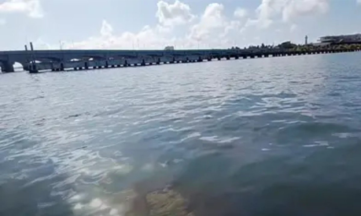 Punto4T's tweet photo. Pescadores de Progreso, Yucatán, reportaron una extensa mancha de diésel en el mar y un fuerte olor, presuntamente proveniente del antiguo viaducto.
#Progreso #Yucatán #Derrame #Diésel #Pescadores https://t.co/Xdy7YJVctJ