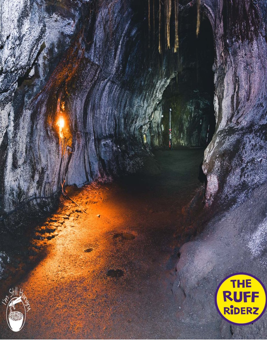 SassytheMinPin's tweet photo. one more stop! The cave of echos! (SAM! @jereth_samson STOP YELLING!) I can't see... Heikilli! Ranger! @HibiscusLynn You two take the lead...please?? #theRuffRidrz #RRAT https://t.co/mqKVYp6vR1