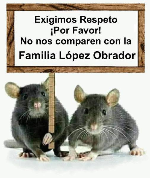 GARCIPAVON tweet picture