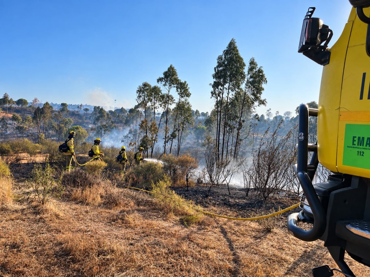 Plan_INFOCA's tweet photo. 🔴El #IFElRompido (Huelva), paraje San Miguel, EXTINGUIDO a las 21:15 horas.
#UnoMenos https://t.co/jLkdsBjqr0