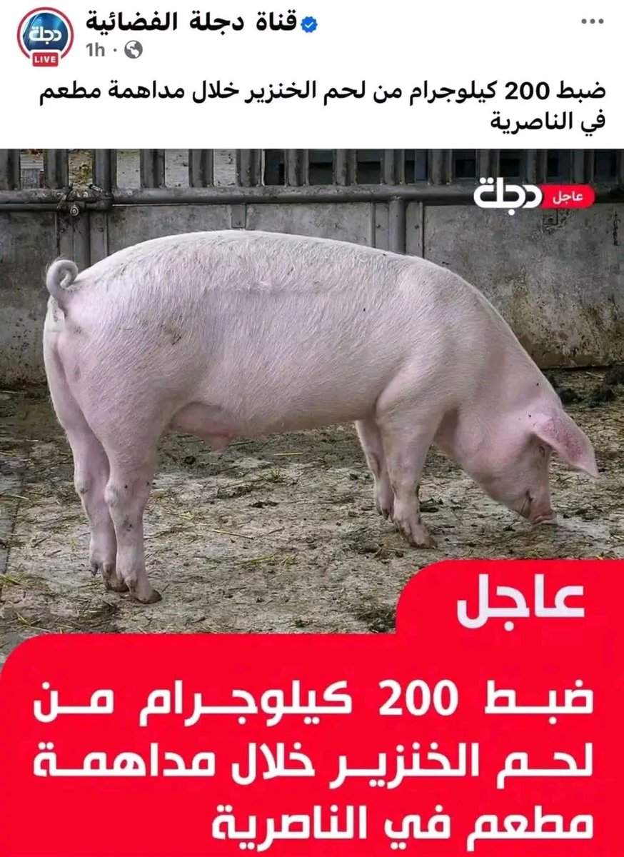 _Q7mr's tweet photo. اكول هاي الوادم ليش تسب وتطعن بعرض الرسول 
طلعوا يضربون كله لحم خنـ.ـزير https://t.co/M1soHUd8fo