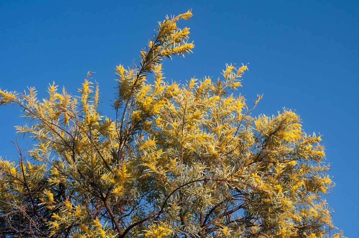 siann____'s tweet photo. PENTAX K-7 https://t.co/FQlDlGTKou