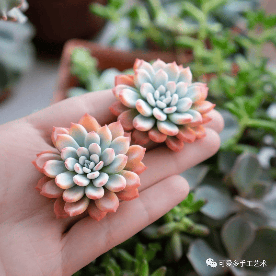 appropriate_999's tweet photo. Handmade clay succulents that never wilt! Perfect tiny decor for desks u0026 shelves  Get crafty this weekend https://t.co/NdgTTuLWok