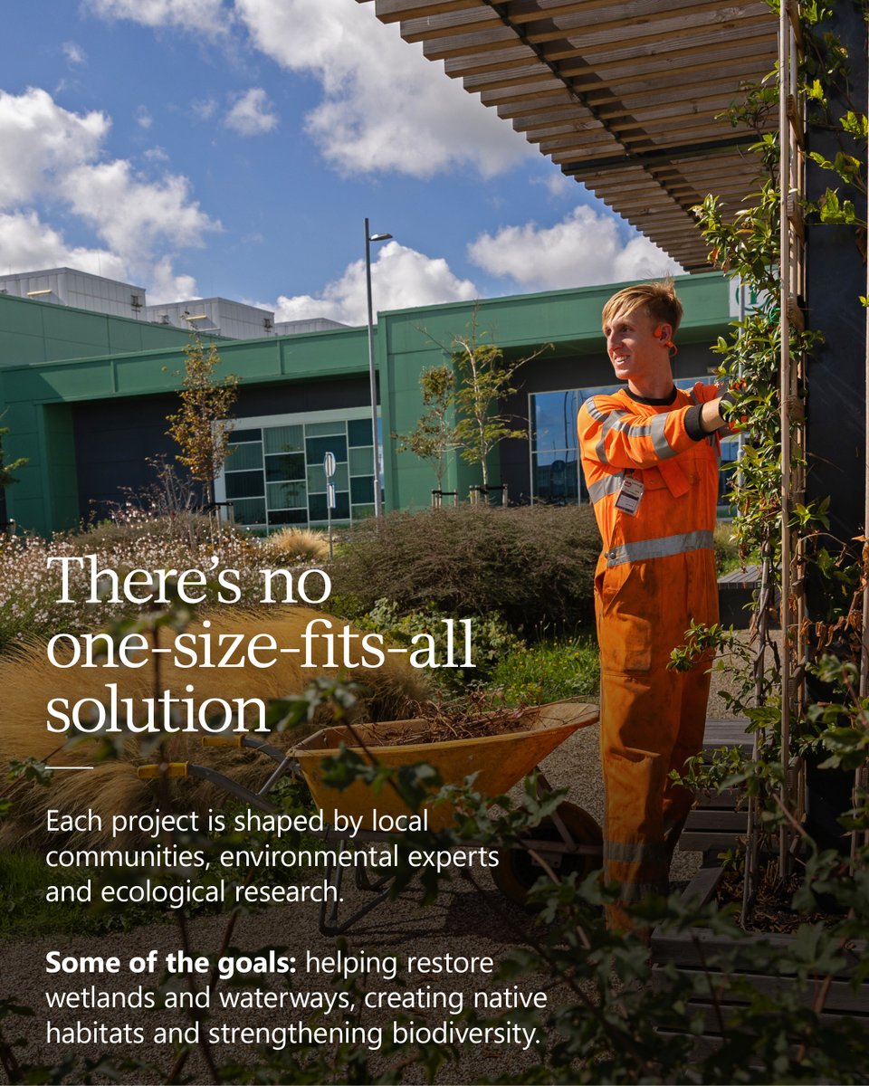 msftRob's tweet photo. I'm inspired by how we're applying lessons from nature around our Microsoft datacenters to support biodiversity, conservation, and future growth: https://t.co/j9UJ0ZVR4m https://t.co/c4Y5sUNPn9