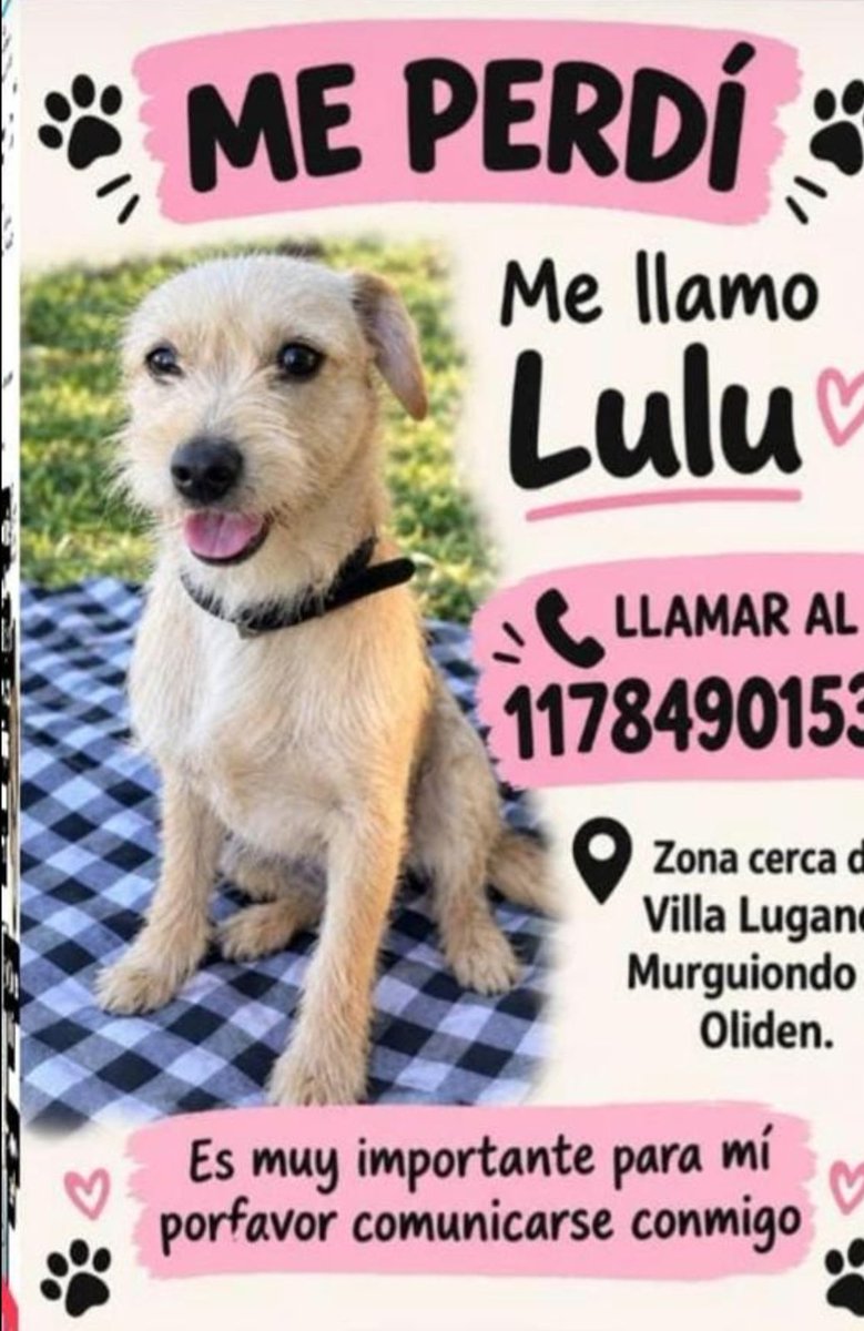paraellostodo's tweet photo. Villa Lugano🙏🏻🙏🏻🙏🏻 https://t.co/8JglJXerE5
