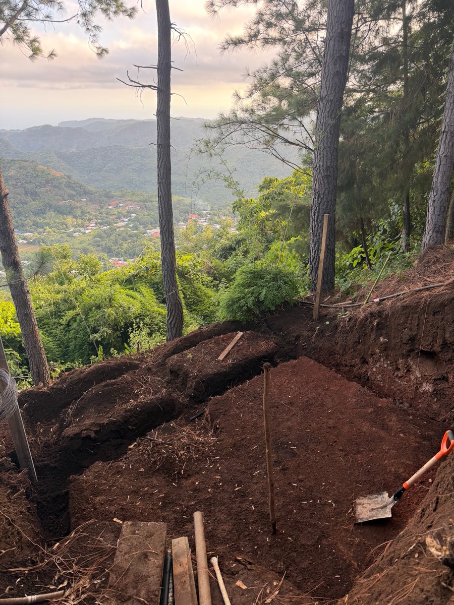 thewilliamlehr's tweet photo. Let’s make an infinity pool!  Jungle style! https://t.co/2gwUYqs288