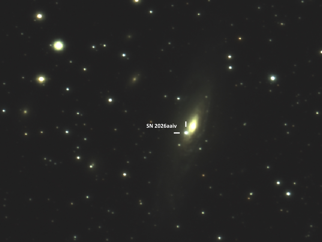 romanov_filipp's tweet photo. On September 8, 2026, I observed the bright supernova SN 2026aaiv in NGC 7331 using remote telescopes of @iTelescope_Net.
Photometry: 13.019 B, 12.698 V, 12.251 Rc, 11.785 Ic.
Photo: 6x240 sec., stacked from the frames from 0.28-m telescope T68.
#astronomy #NGC7331 #supernova https://t.co/sOppX4MB72