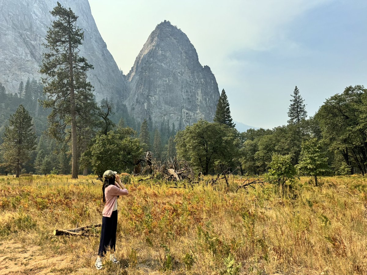parisonfiIm's tweet photo. Frolicking in Yosemite 🍀🫧 https://t.co/TJ1MfZSG6l