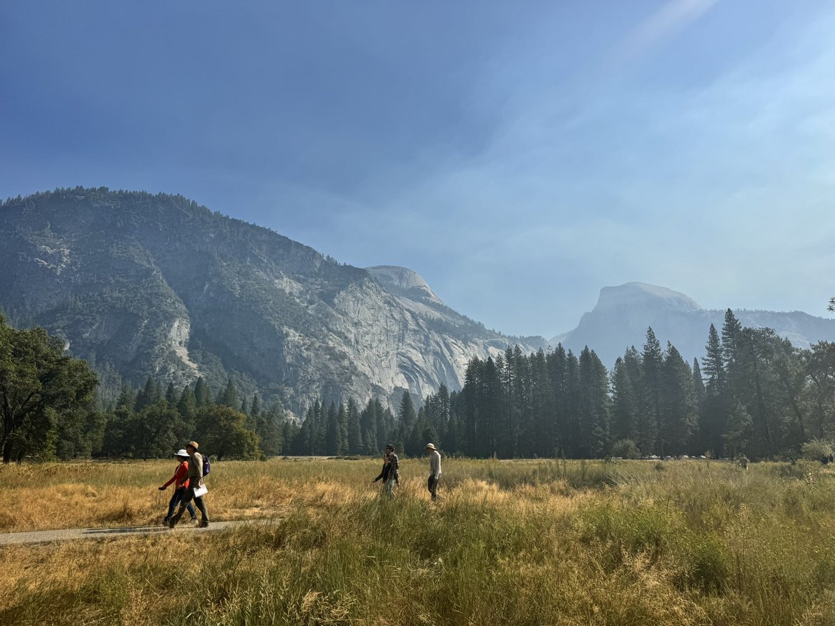 parisonfiIm's tweet photo. Frolicking in Yosemite 🍀🫧 https://t.co/TJ1MfZSG6l