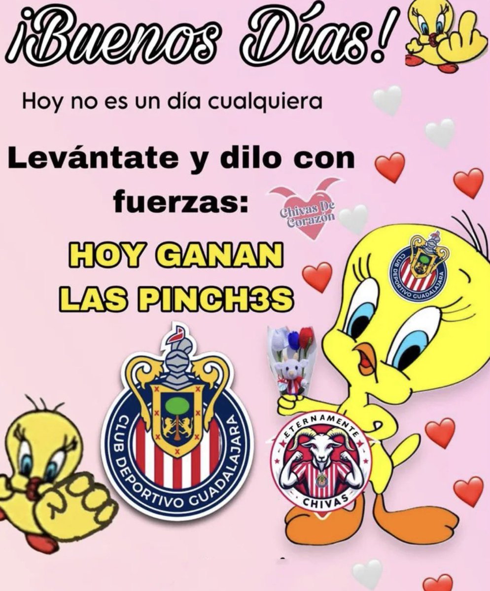 yoyoscherry's tweet photo. GRITEN CONMIGO CHIVAHERMANOS 🗣️ https://t.co/asimrjfj2P