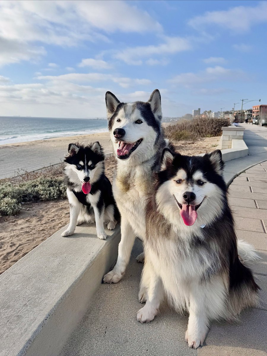abc7community's tweet photo. Enjoying the ocean breeze and beautiful views at the Redondo Beach Esplanade.๐๐ถ
Video @banditandbeau
Tag us #abc7eyewitness or @abc7community to be featured https://t.co/6WEAeTtf8H