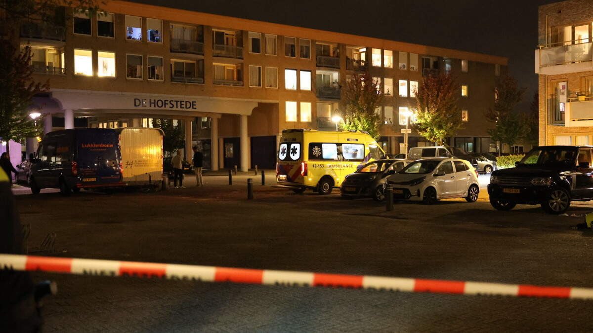 Steekpartij in Velserbroek