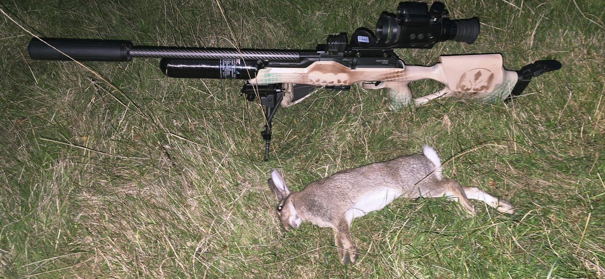 davsurfa's tweet photo. Resorted to my go to gun and took little Benjamin out at 69 yards #airrifle #shooting #walther #rotex #rm8 #weirhauch #xl #hikmicro #cheetah #lrf #jts #deadcenter #pestcontrol #cleankill https://t.co/8UTr7Fhcpj