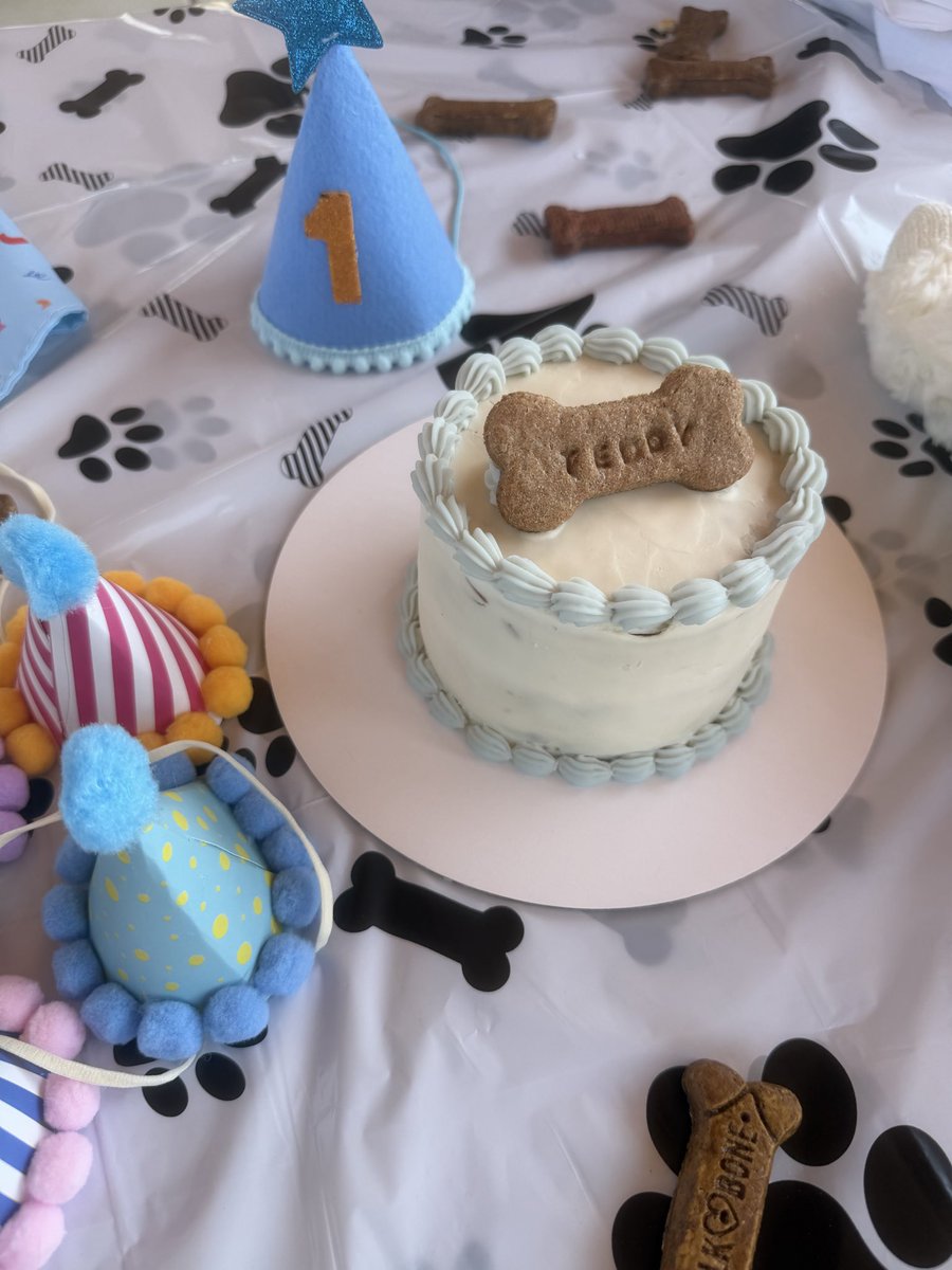 maowmix_x's tweet photo. Misty and I attended a first birthday party for her friend Teddy! 🐾  She’s definitely built to be a gaming dog, not a social one 😆🥲 https://t.co/oYbC4Q76wM