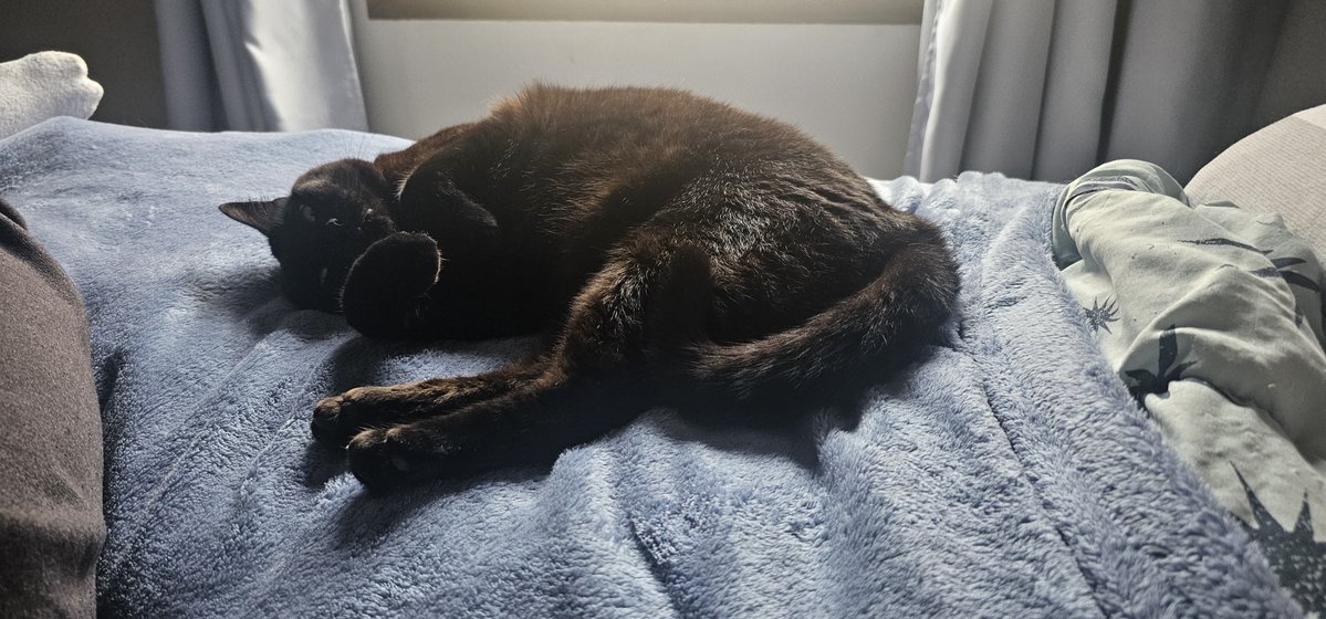 WFyzzen's tweet photo. Volto pra casa depois de uns dias fora e tem uma criaturinha cheia de saudades me esperando https://t.co/qYcg3CeB2X