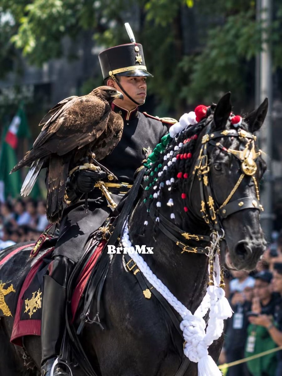 EJTO_FAM_GN's tweet photo. "Nacer, vivir y morir... ¡Siempre de Caballería!" 🩵

#cadeteheroicocolegiomilitar #desfilemilitarmexico #cadetesmilitares #16deseptiembre https://t.co/Hd74mxJRhW