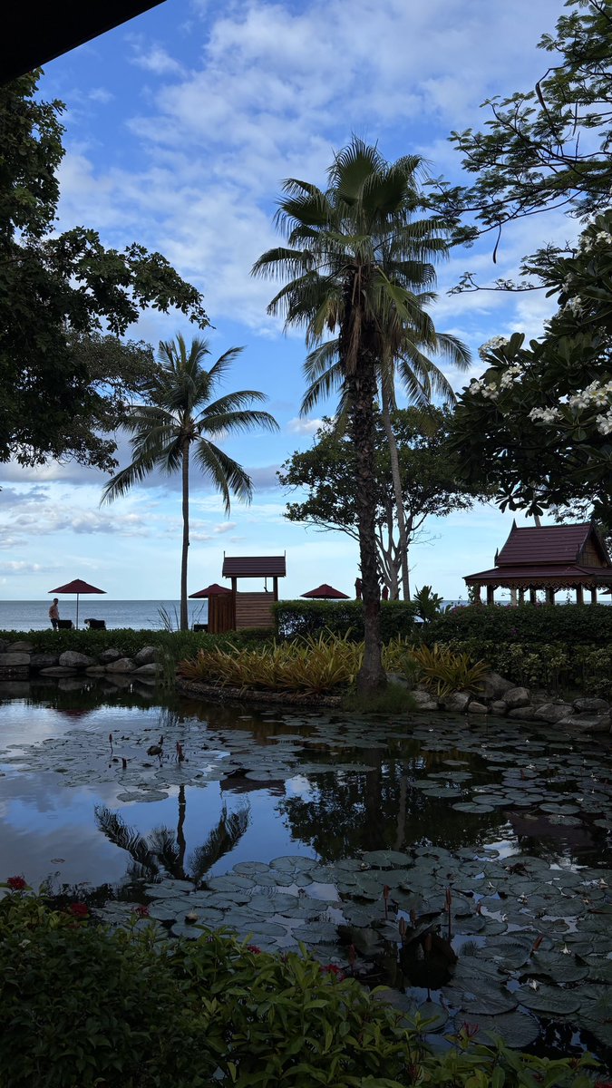 nrptxxn's tweet photo. IP15 kub https://t.co/4Vc12UHwas