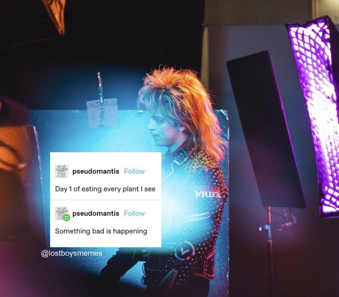 lostboysmemes's tweet photo. https://t.co/F8XaOFL19S