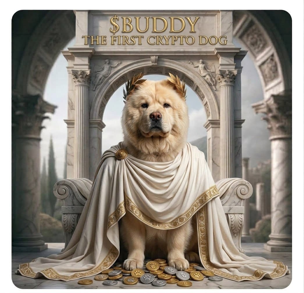 jonahryjf's tweet photo. @GeckoTerminal Gmgm 
Hold Buddy 
Earn BTCB 
Every buy &amp; sell feeds BTCB straight into holders’ wallets.
No staking. No claiming. Just hold.
The first dog inscribed on Bitcoin now pays you in Bitcoin.
Ca
0x4e0026b2a27f60cd7ed8bb71f9489501b1f87777
@BuddyonBNB https://t.co/h1FGPogIfk