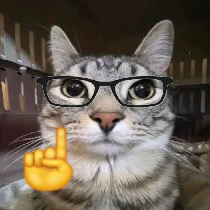 astrewinchester's tweet photo. please does anyone else see the resemblance? no? https://t.co/zGmX73vpnf