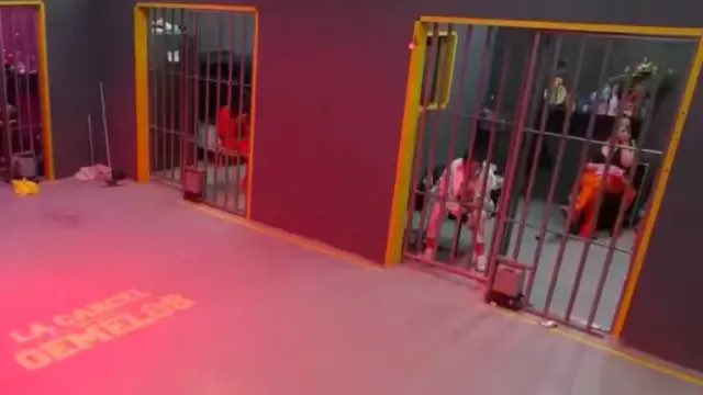 caprabesuescun's tweet photo. Los policias tienen autoridad absoluta
los carceleros tienen que acatar cualquier castigo que se les ocurra
Superaran la prueba si no llegan a los 5 errores de prueba
Habrá conseqüencias fuertes si no se toman enserio la prueba
#GHVIP https://t.co/l0T5NJrwbf