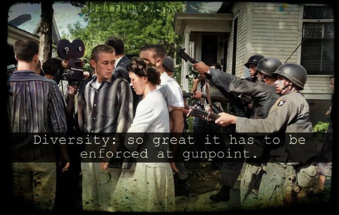 Five_2Bravo's tweet photo. @Kentuckygirl1 Segregation served a purpose. SCOTUS needs to reinstate our 1st Amendment rights to Freedom of Association. We're done with the communist Jews efforts to paint all negroes as victims when the opposite has ALWAYS been true. https://t.co/cZa3LYfvq4