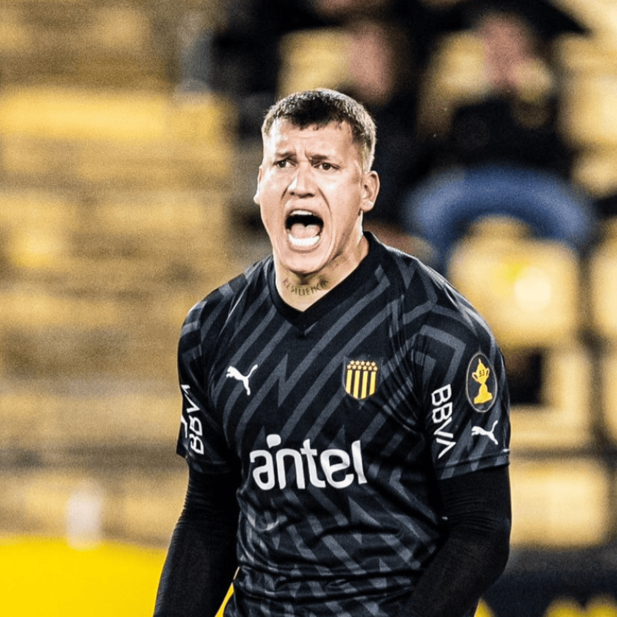 populse_'s tweet photo. @OficialCAP @LigaAUF SALVO EL PARTIDO. QUE SIGA LA LOCURA https://t.co/GnNY0uKqi4