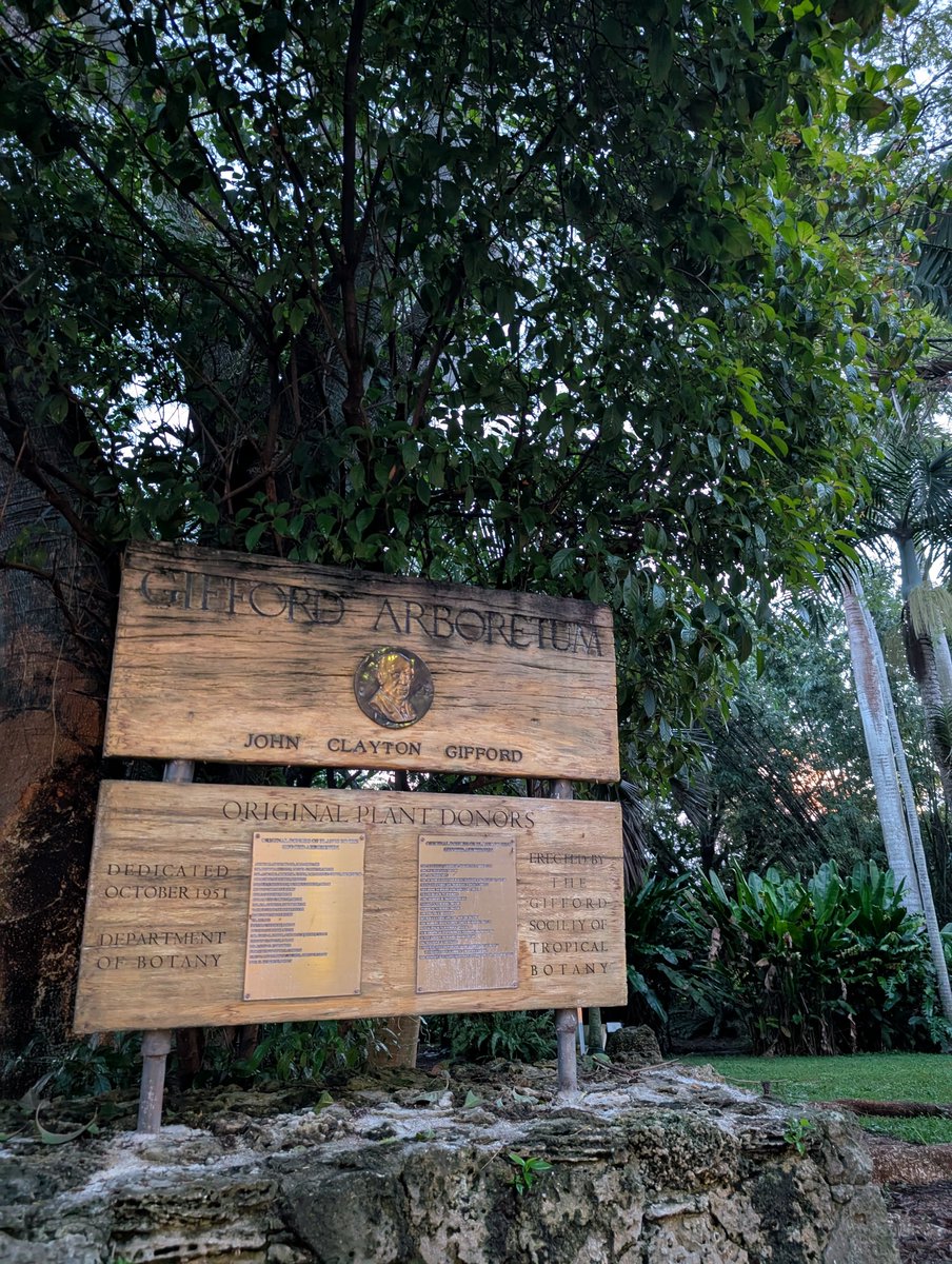 RolandoAlexxis's tweet photo. Nature Walk this morning around University of Miami campus. https://t.co/N2ysdfoZiF