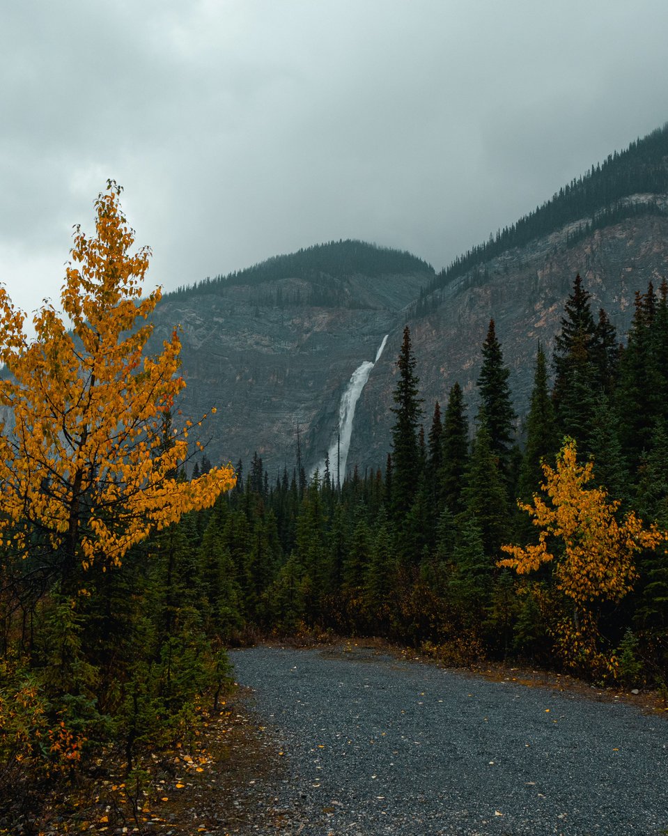 visualsofearth1's tweet photo. Fall in Yoho National Park https://t.co/KKq6QNDMOw