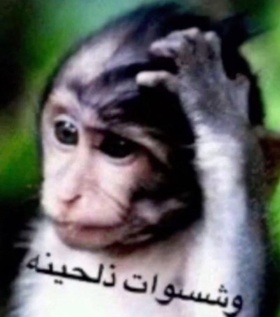 7_ceylin's tweet photo. @1005_bang شكلي عجزت صدق حاطته عند راسي مع الفايتمينات https://t.co/j0h03ARjSL
