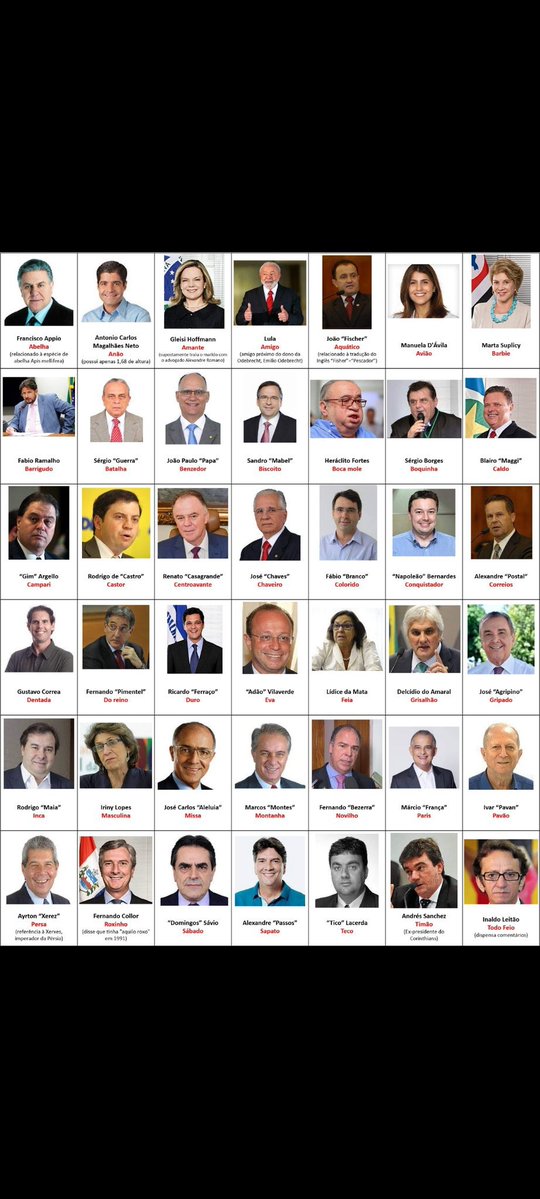 RenatoRJBrasil's tweet photo. @Metropoles Escolher entre quem tem apelido em listas de propinas e quem não tem. https://t.co/YYA7h26o07