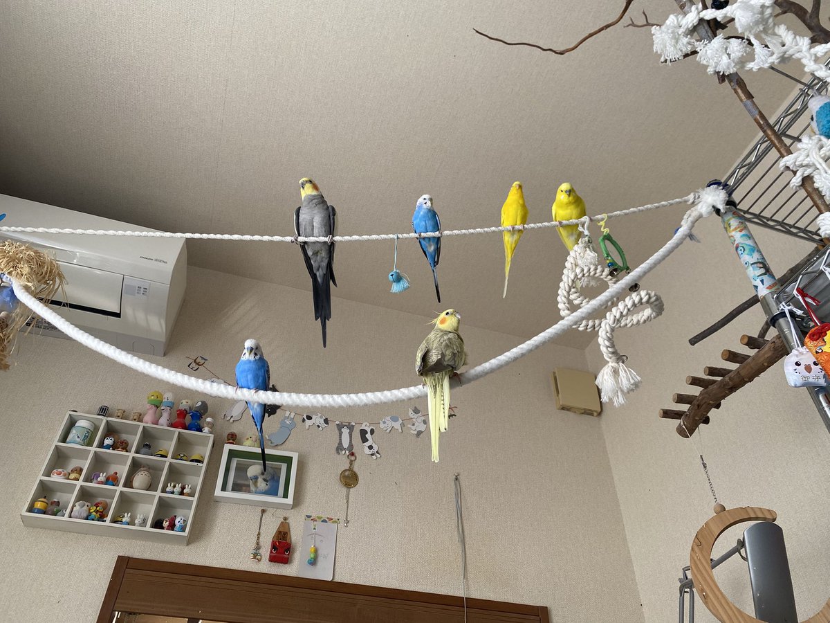 mtnCou1222's tweet photo. そーしゃるな
でぃすたんす https://t.co/doioljMFTF