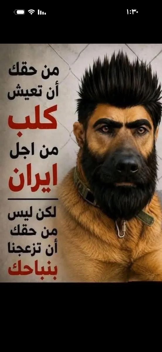mrm10120's tweet photo. @ALnajafi5050 @bwjfr74540123 https://t.co/8Vsq5fojml