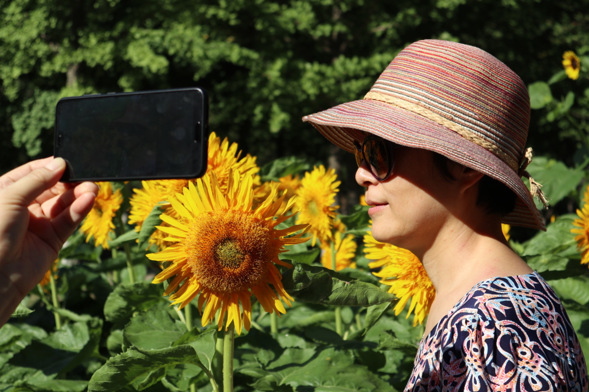 lover__34's tweet photo. New to photography Start with your phone—its camera’s all you need to capture bright daily moments like sunlit coffee or fun walks. Practice 5 mins a day, tiny steps make big shots! https://t.co/lco09eGWKp