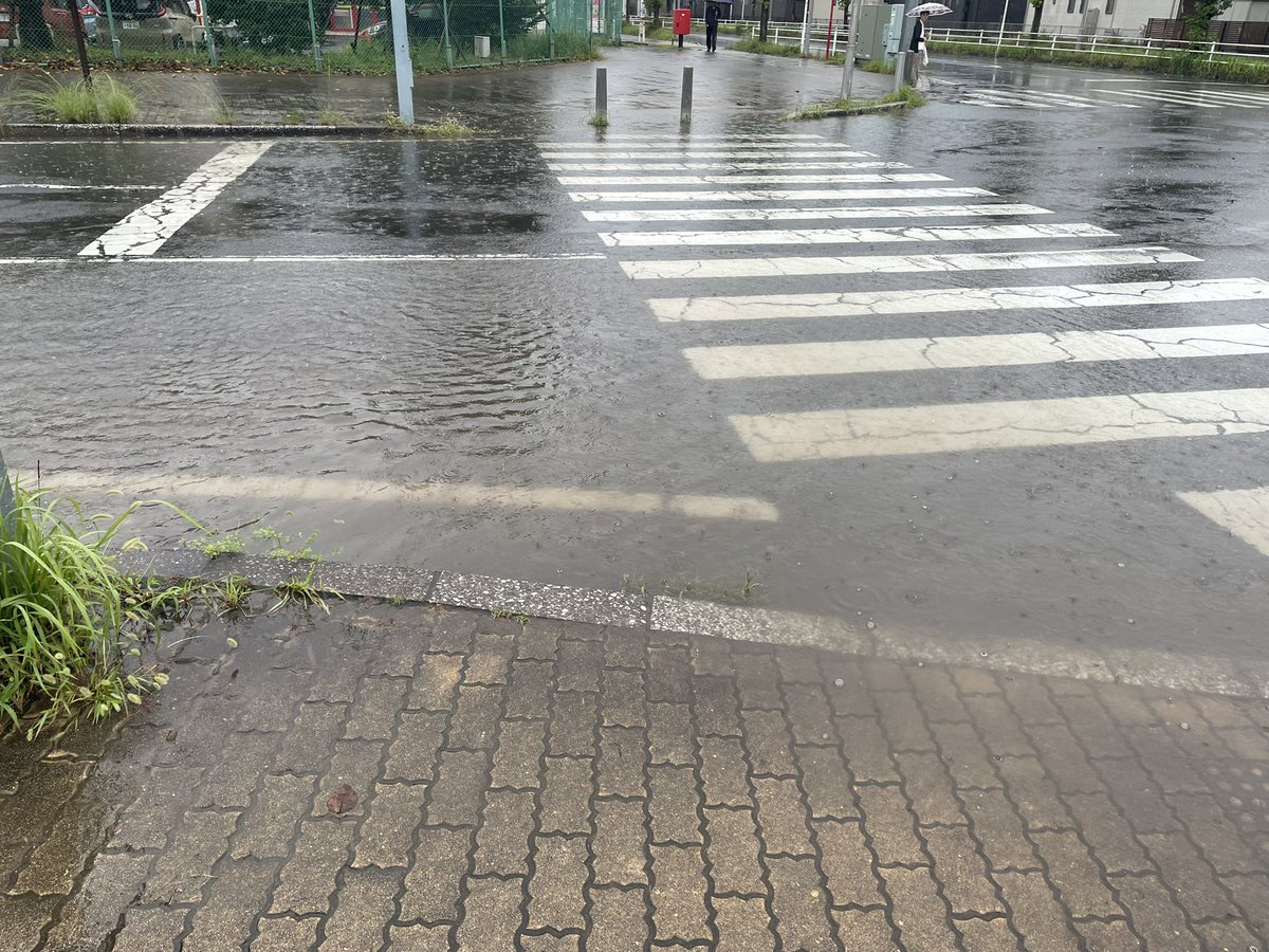 Scarlet_Castiel's tweet photo. もう既に四街道、終わり始めてる https://t.co/ZUJptY6JMZ