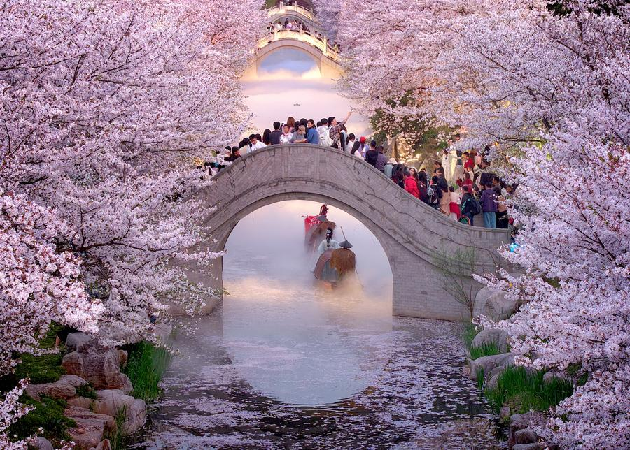 PDChina's tweet photo. China will strengthen its cultural industries and tourism over the next five years, aiming to steadily raise their share of GDP, according to the Ministry of Culture and Tourism.

The 15th Five-Year Plan (2026-2030) for cultural and tourism development, newly released by the ministry, calls for turning the sectors into pillars of economic development and businesses that improve people's livelihoods and sense of happiness. One key target is 8.3 billion domestic trips a year by 2030, nearly 2 billion more than in 2025.

Chinese tourists spent 6.3 trillion yuan (about $933 billion) on domestic trips in 2025. The 2030 target is 7.7 trillion yuan.