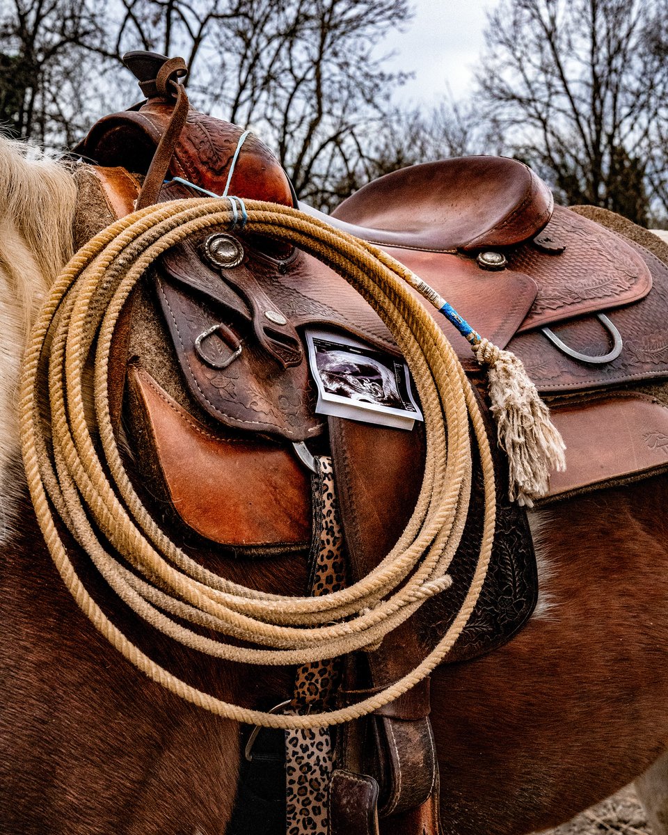 CharleyZipyz's tweet photo. Baby announcement... A little cowboy is on the way. https://t.co/8BEkWGp38o